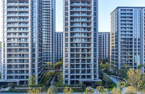 樓上裝修滲水 噪音不斷 業主該如何維護自身權益 民法典為您解答