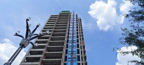 不是特別看好房地產開發公司涉足中介板塊,吃力不討好