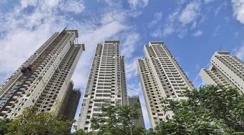 重要關口來了 房地產商為何 無視 政策信號